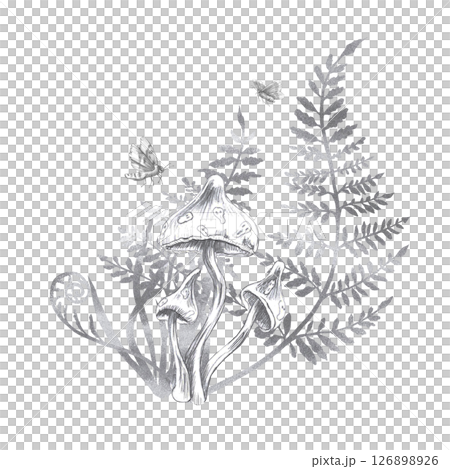 Composition of mushrooms, fern branches and two moths. Isolated pencil illustration on the theme of a magical forest for the design of postcards, coloring books, printing on posters, textiles. Composition of mushrooms, fern branches and two moths. Isolated pencil illustration on the theme of a magical forest for the design of postcards, coloring books, printing on posters, textiles. 126898926