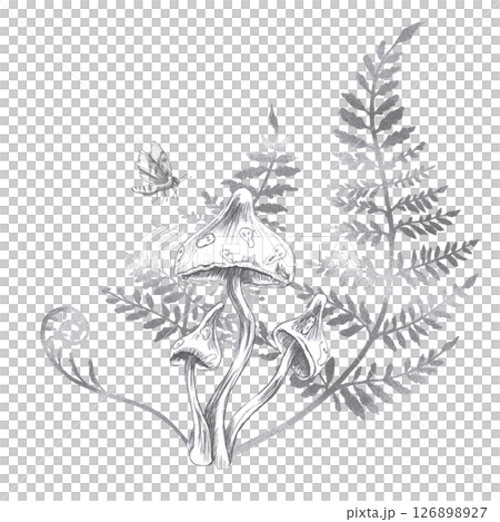Composition of inedible mushrooms, fern branches and a moth. Isolated pencil illustration on the theme of a magical forest for the design of postcards, coloring books, printing on posters, textiles. 126898927