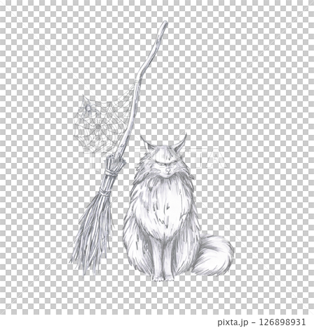 Big fluffy cat on the background of a witch's broom with a web. Isolated pencil illustration for coloring books, postcards, Halloween theme parties, printing on fabrics 126898931