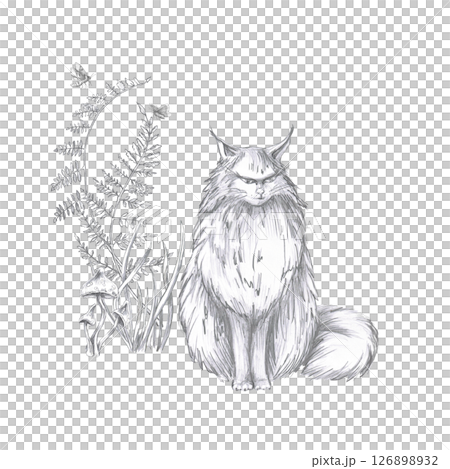 Big fluffy cat on the background of fern and mushrooms. Isolated pencil illustration for coloring books, postcards, Halloween theme parties, fabric printing, interior design 126898932