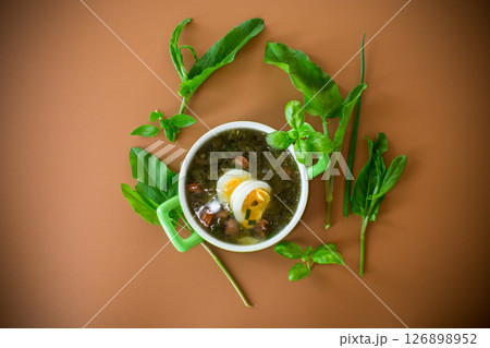 Traditional Ukrainian sorrel borscht with egg on brown background 126898952