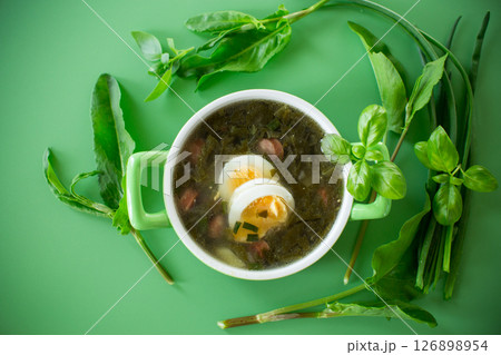 Top view of a plate of green borscht with egg and sorrel on a green background Top view of a plate of green borscht with egg and sorrel on a green background 126898954