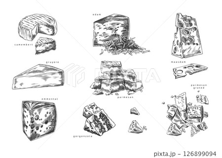 Different cheeses pieces sketch vector set, engraved hand drawn emmental, edam, maasdam, Gruyere Parmesan and Gorgonzola 126899094