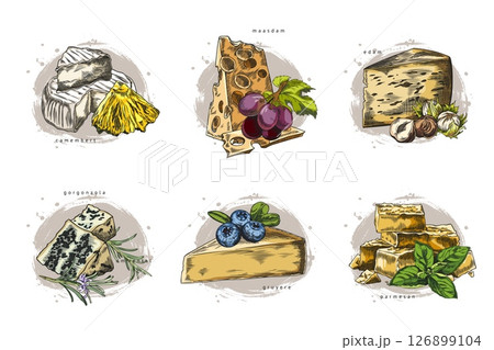 Watercolor set of cheese types with grapes, blueberries, hazelnuts, pineapple, rosemary and mint. 126899104