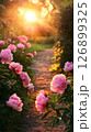 A serene path winds through a lush garden filled with soft pink peonies as warm sunlight filters through the trees, creating a peaceful atmosphere during golden hour 126899325