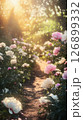 Scenic pathway meanders through a lush garden adorned with blooming peonies, bathed in golden sunlight, inviting tranquility and natural beauty 126899332