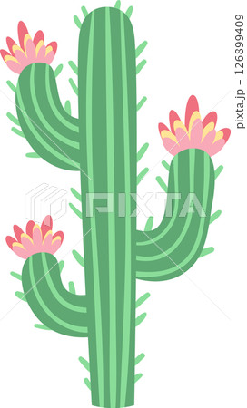 Saguaro cactus adorned with three vibrant pink flowers blooming on its arms, representing resilience and beauty thriving in harsh desert environments 126899409