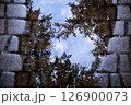Reflection of trees in a puddle on the pavement 126900073