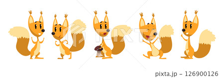 Funny Squirrel Animal with Bushy Tail Vector Set Funny Squirrel Animal with Bushy Tail Vector Set 126900126