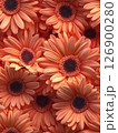 A stunning bunch of bright orange flowers showcasing their radiant color and unique shape Seamless Texture 126900280