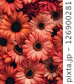 A beautiful bunch of orange flowers capturing the essence of brightness and natural beauty Seamless Texture 126900281