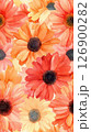 An attractive bunch of mixed flowers displaying a variety of colors and natural beauty Seamless Texture 126900282