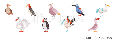 Different Bird and Avian Species with Beak and Wing Vector Set Different Bird and Avian Species with Beak and Wing Vector Set 126900309