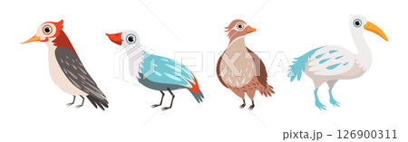 Different Bird and Avian Species with Beak and Wing Vector Set 126900311