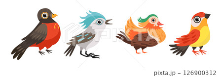 Different Bird and Avian Species with Beak and Wing Vector Set Different Bird and Avian Species with Beak and Wing Vector Set 126900312
