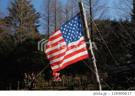 青空に揺れるアメリカ国旗と自然の風景 青空に揺れるアメリカ国旗と自然の風景 126900617