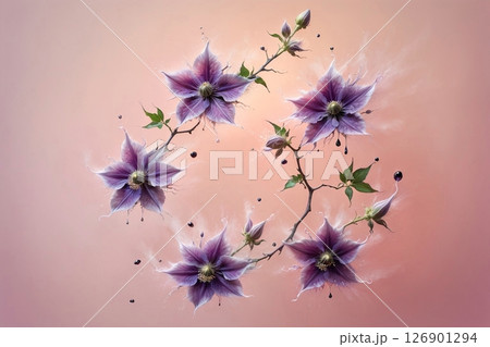 holiday card with clematis and blank space on pink background holiday card with clematis and blank space on pink background 126901294