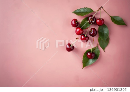 Cherries on pink background with empty space on the side Cherries on pink background with empty space on the side 126901295