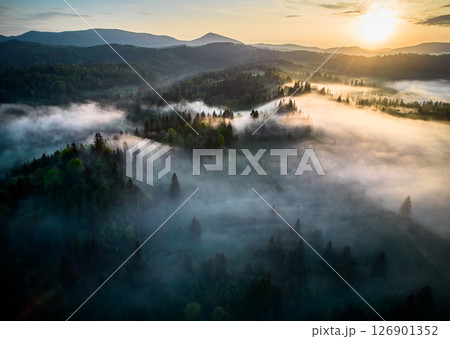 Aerial view of breathtaking sunrise over misty landscape with rolling hills and verdant fields. Soft light pierces through fog, casting long shadows and illuminating trees, creating magical scene. 126901352