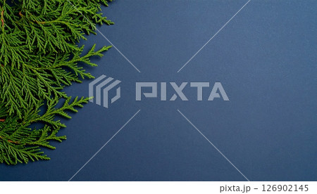 檜の緑が映す涼の余白 126902145