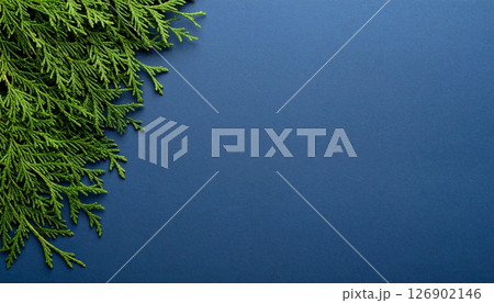 檜の緑が映す涼の余白 檜の緑が映す涼の余白 126902146