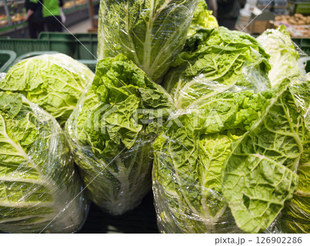 Freshly packed romaine lettuce at a bustling market in autumn 126902286