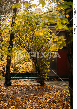 A lone green bench rests under a leafy autumn tree beside an old building with a red door. Urban solitude, seasonal stillness, quiet public spaces, nostalgia in decay.. A lone green bench rests under a leafy autumn tree beside an old building with a red door. Urban solitude, seasonal stillness, quiet public spaces, nostalgia in decay.. 126902583