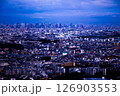 大阪都心を遠望 126903553