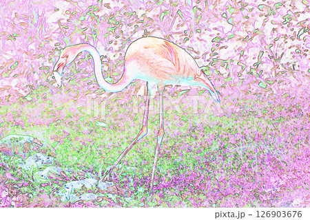 　”フラミンゴ”　イラストイメージ 126903676