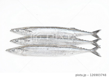 　”秋刀魚”　イラストイメージ 126903748