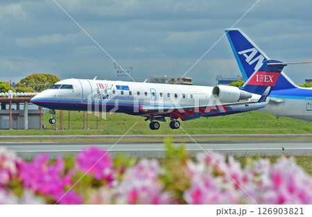IBEX JA01RJ伊丹アブローチ IBEX JA01RJ伊丹アブローチ 126903821