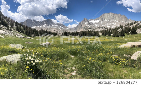 Lush valley with mountains and clouds under a clear blue sky 126904277
