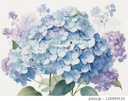 やさしい青紫の紫陽花1｜水彩タッチの初夏フラワーアート 126904510