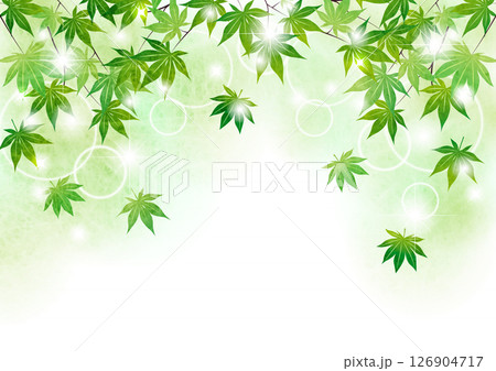 青紅葉キラキラ背景、イラスト、夏、かわいい、横 126904717