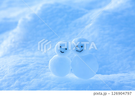 雪原の雪だるま 雪原の雪だるま 126904797