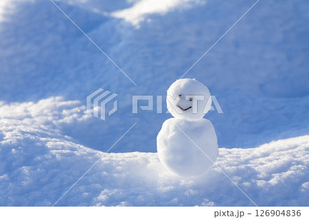雪原の雪だるま 雪原の雪だるま 126904836