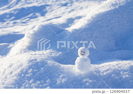 雪原の雪だるま 雪原の雪だるま 126904837