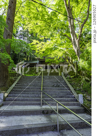 四国八十八箇所43番　明石寺　石段と山門　愛媛県西予市 126905027