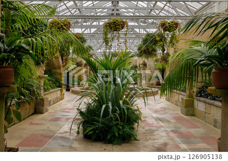 Conservatory of the Botanical Gardens - Hobart 126905138