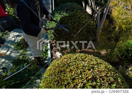 庭師 植木屋 庭師 植木屋 126907388