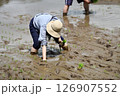 田植えをする棚田オーナー 田植えをする棚田オーナー 126907552
