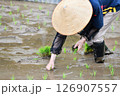 田植えをする棚田オーナー 田植えをする棚田オーナー 126907557