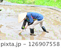 田植えをする棚田オーナー 田植えをする棚田オーナー 126907558