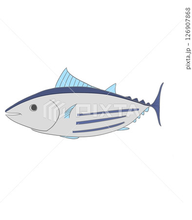 新鮮なカツオ 新鮮なカツオ 126907868