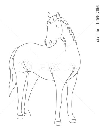 モノクロームの馬のラインドローイング モノクロームの馬のラインドローイング 126907869
