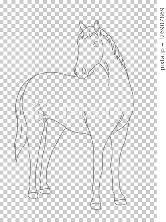 モノクロームの馬のラインドローイング モノクロームの馬のラインドローイング 126907869