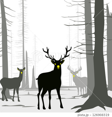 Vector Deers in winter forest landscape illustration drawing 126908319