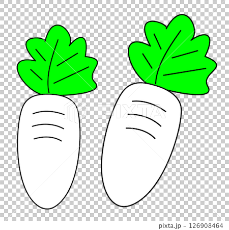 Radish illustration icon 126908464