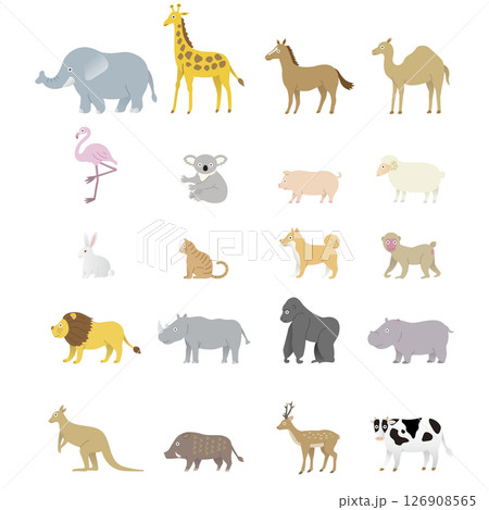 横向き シンプル動物 イラストセット 横向き シンプル動物 イラストセット 126908565