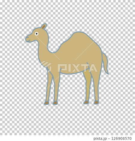 簡單的動物插畫：駱駝 126908570